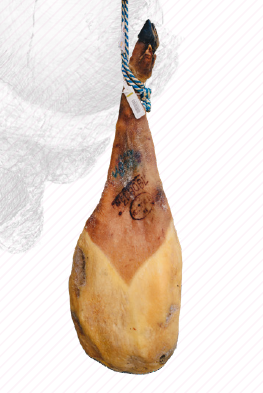 Paleta Cebo 50% Ibérico