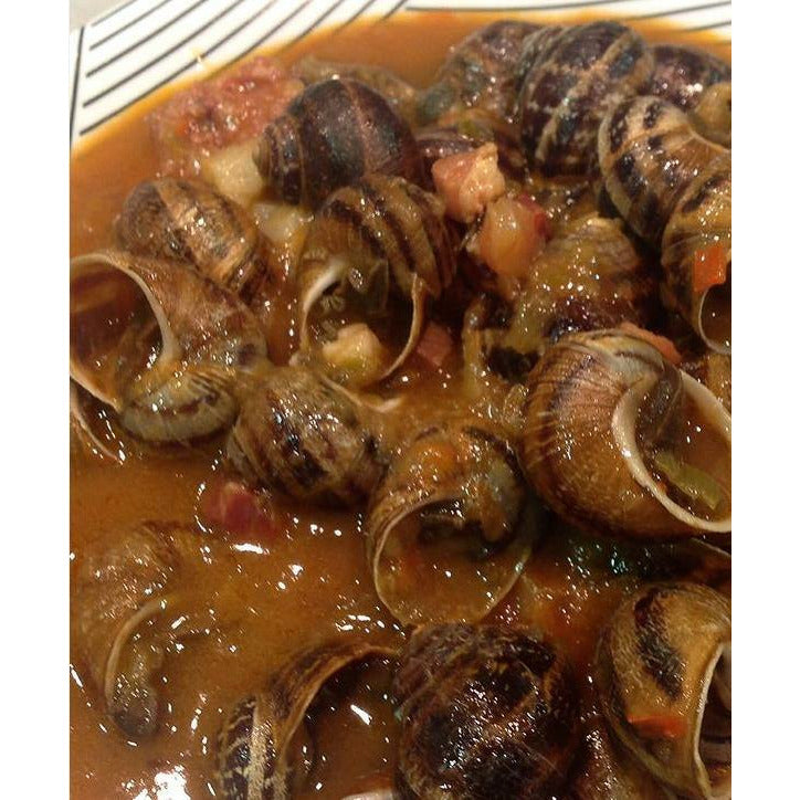 Tarro de caracoles cocidos al natural 660 gr. - Bendito Sabor