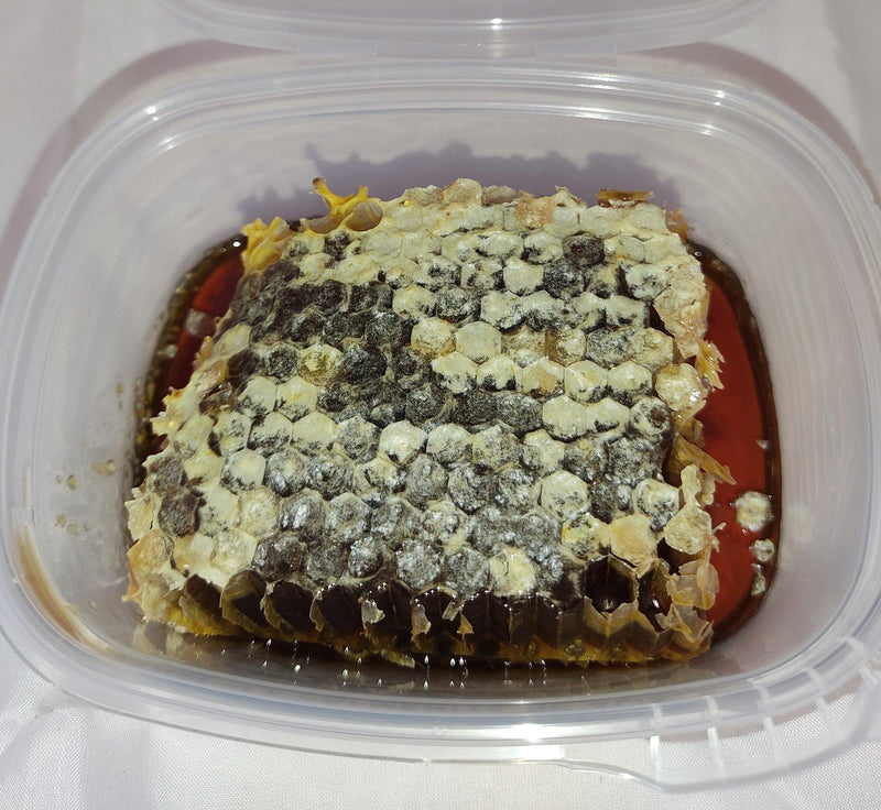 Panal de Abejas - Bendito Sabor