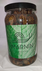 Tarro de caracoles cocidos al natural 950 Gr. - Bendito Sabor