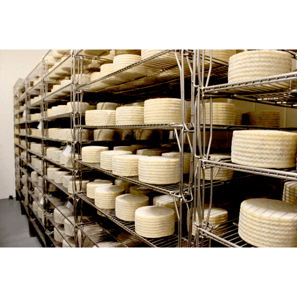 Queso Bodega. 14 Meses de Curación - Bendito Sabor